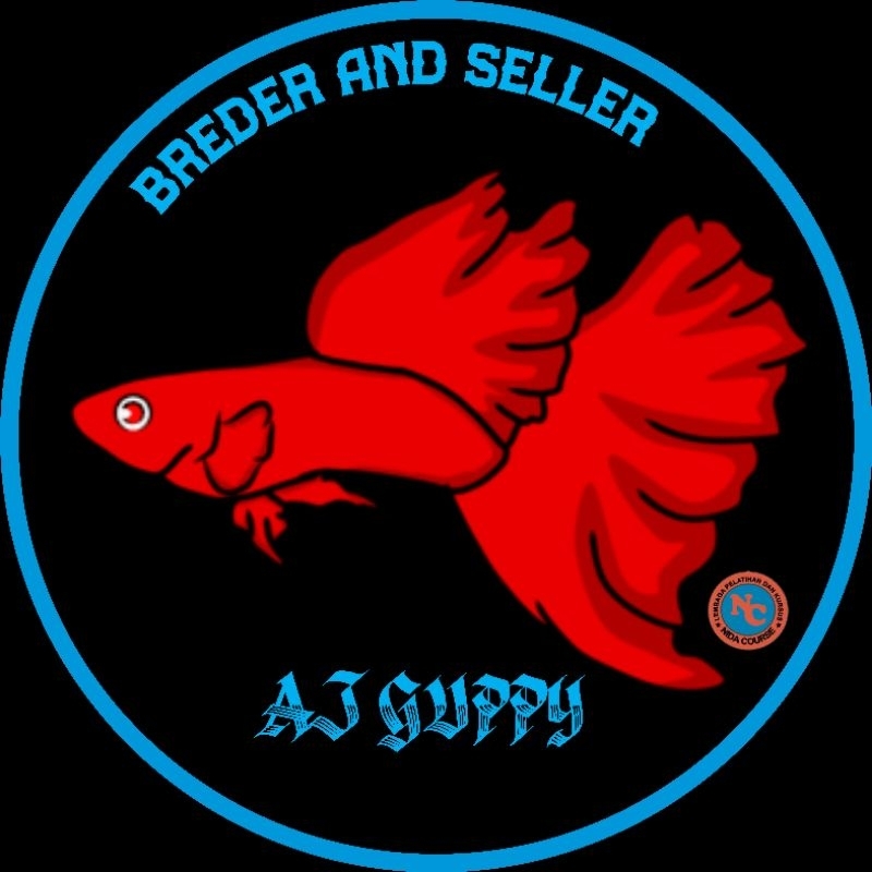 

stiker guppy prtd hm