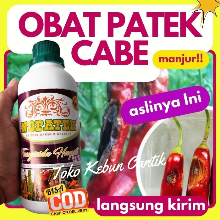 NOPATEK Fungisida Hayati Obat Semprot Ampuh untuk Hama Patek pada Cabe - Atasi Penyakit Bercak Daun,
