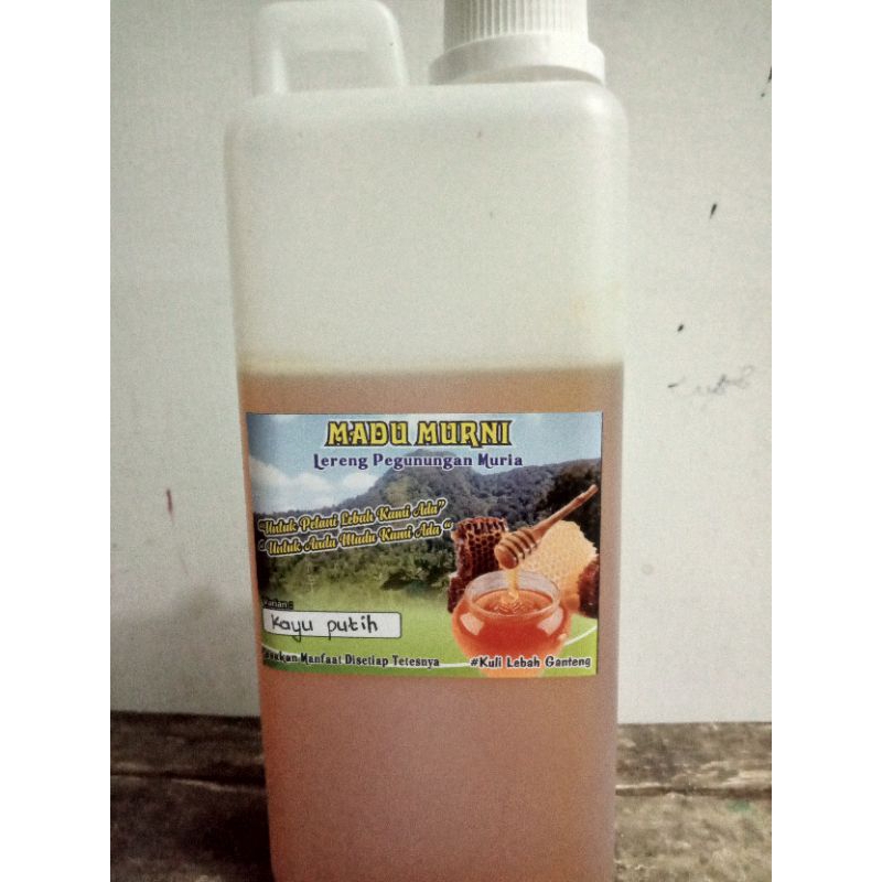 

Madu Murni Kayu Putih