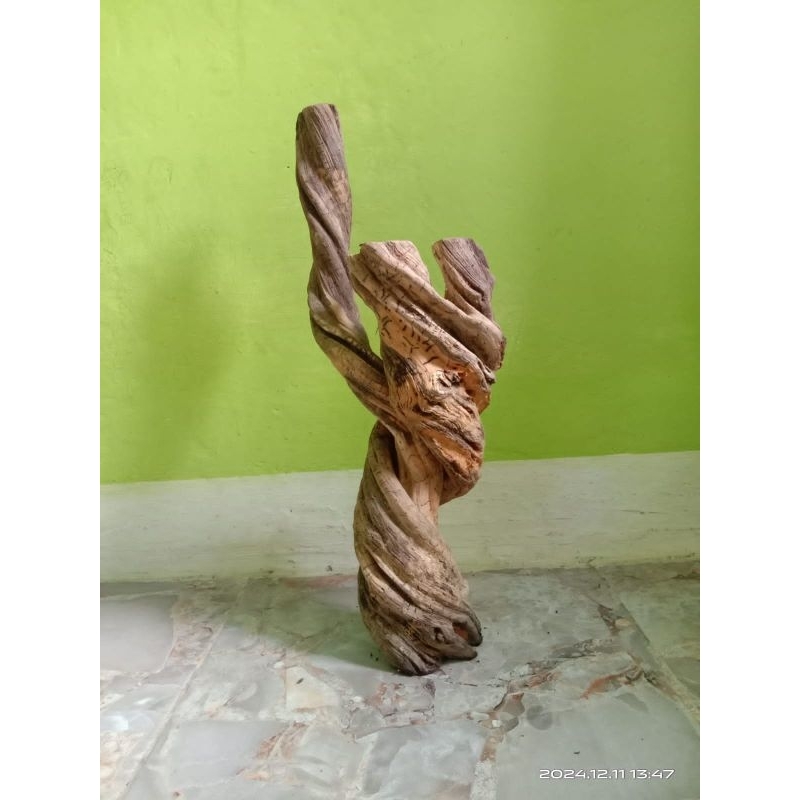 

Akar asli unik alami/ untuk hiasan