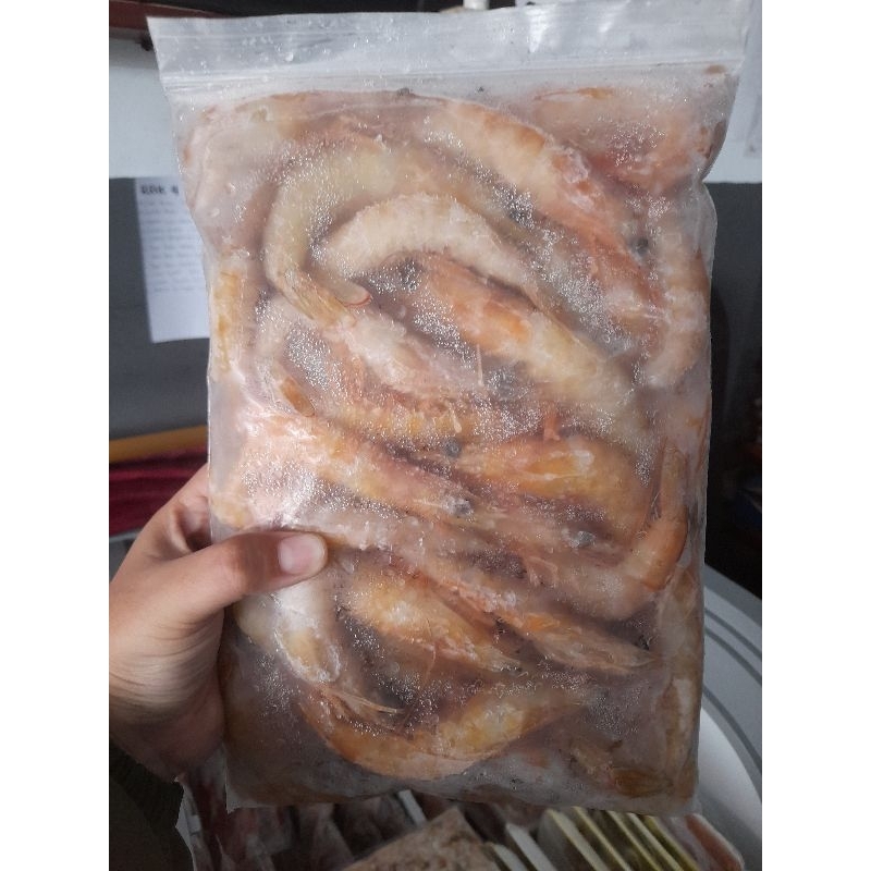 

Udang Laut