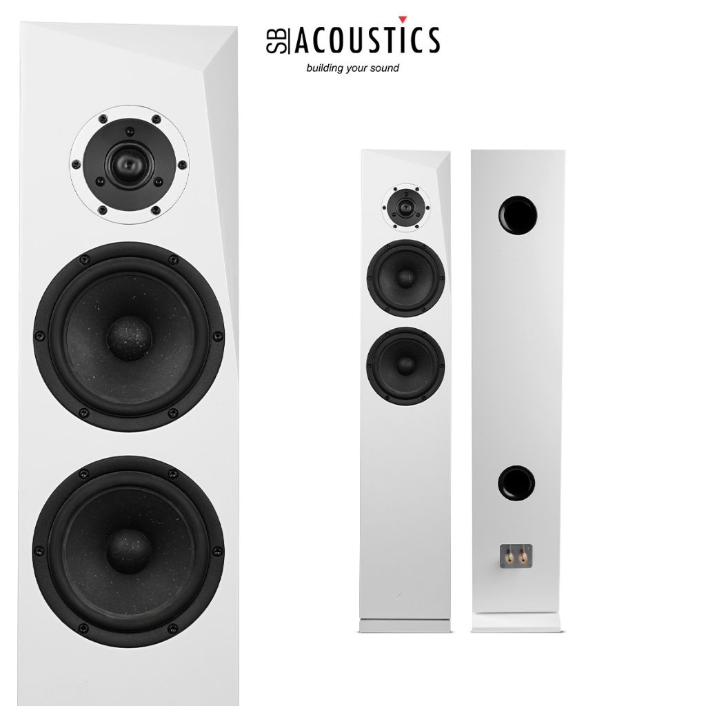 SB Acoustics Speaker Kits RINJANI