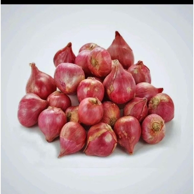 bawang merah besar super 1 kg