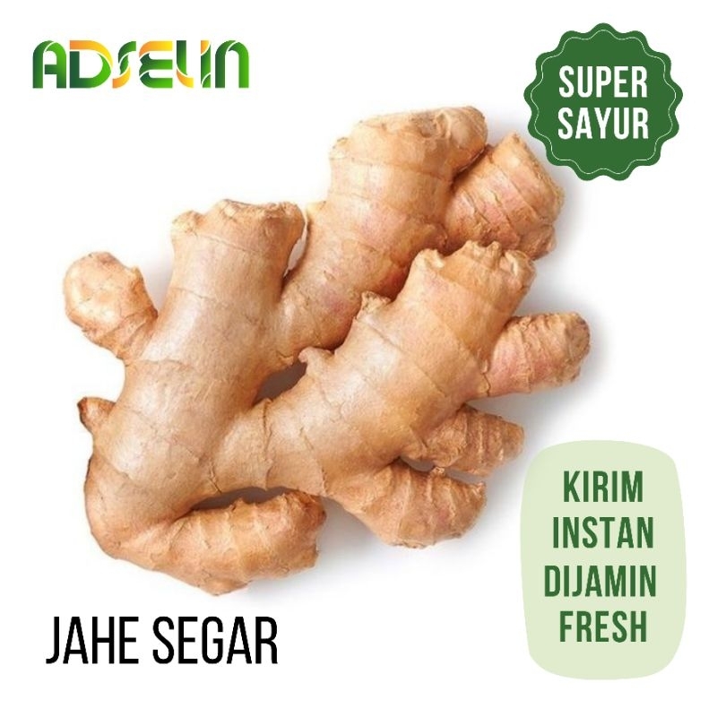 

Jahe Rempah Segar Bumbu Sayuran Segar KIRIM INSTAN