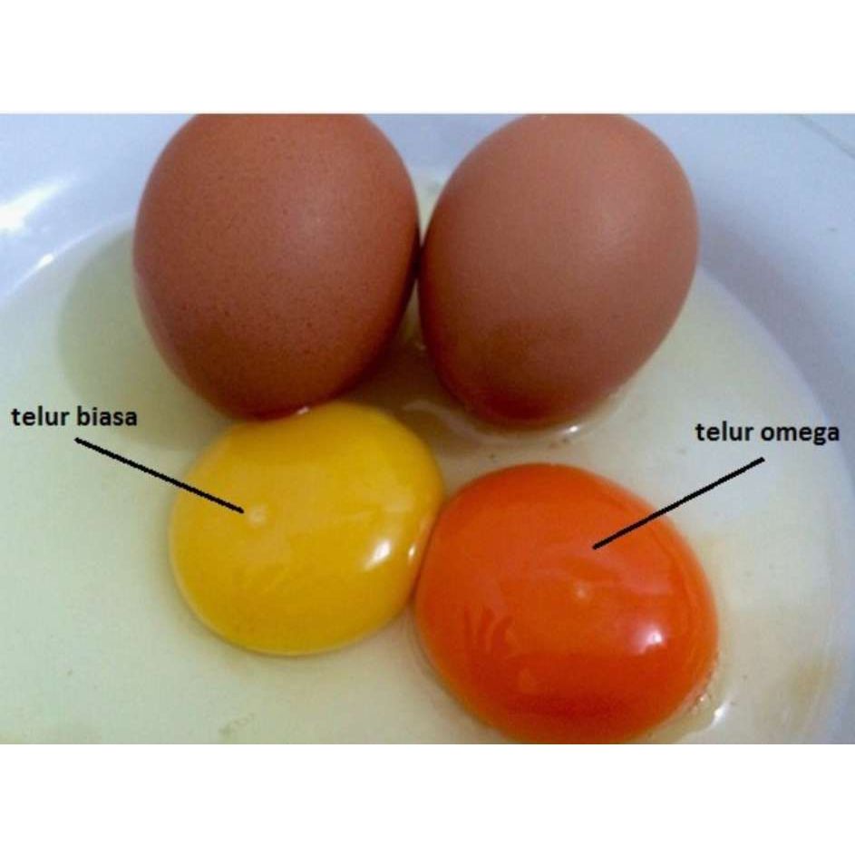 

IO Telur Ayam Negeri OMEGA 3 - 30 Pcs GRADE A Fresh Bersih Kualitas Terbaik