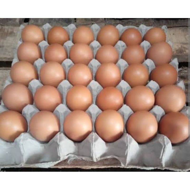 

Telur Ayam Eropa Besar 30/pack