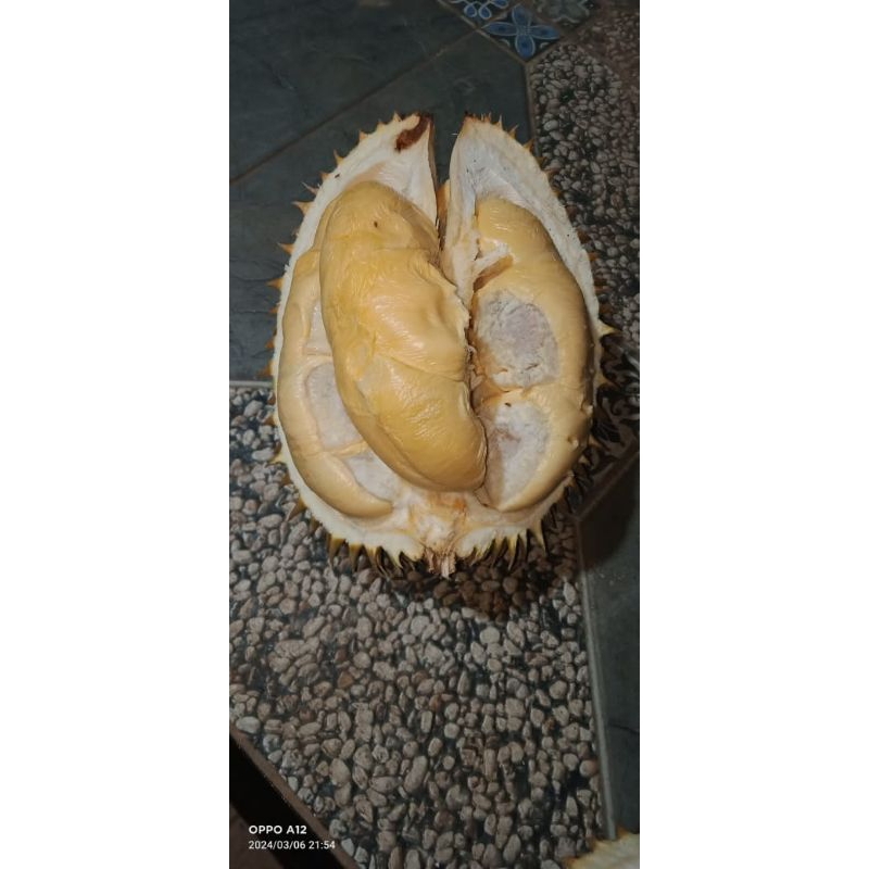 

Durian Lokal Lubuklinggau