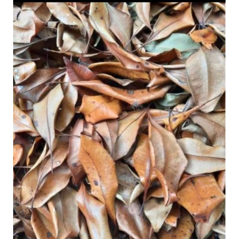 

DAUN CENGKEH KERING 1KG