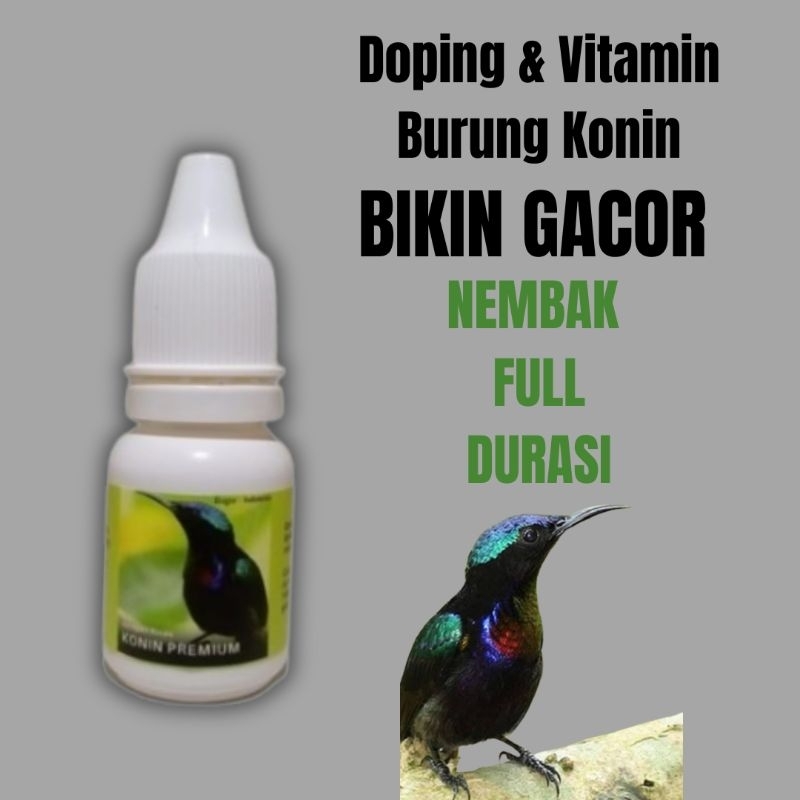 Vitamin Dan Doping Burung Konin Kolibri Ninja Premium Penggacor Lomba Nembak Full Durasi