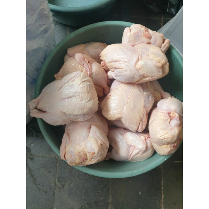 

Ayam Karkas Freshh 1Ton