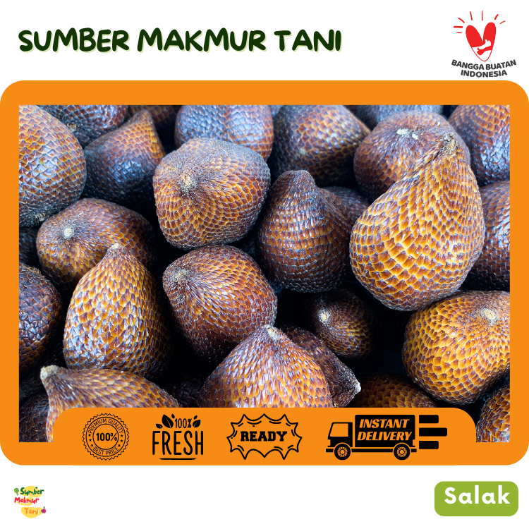 

Salak Segar Premium – Langsung dari Petani Lokal