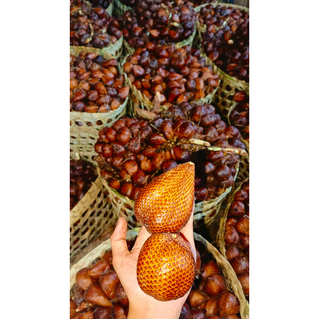 

Salak Pondoh manis Asli MAgelang Merapi 5kg