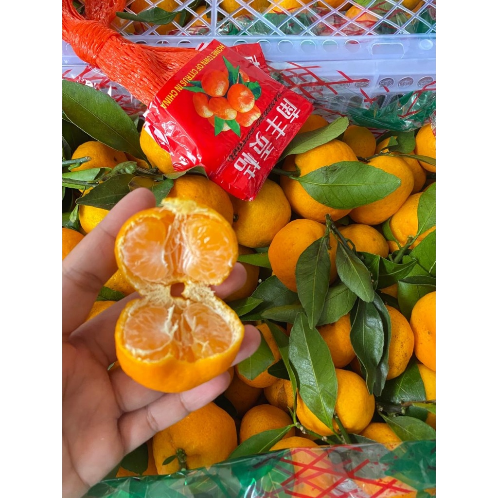 

JERUK SANTANG DAUN 1kg