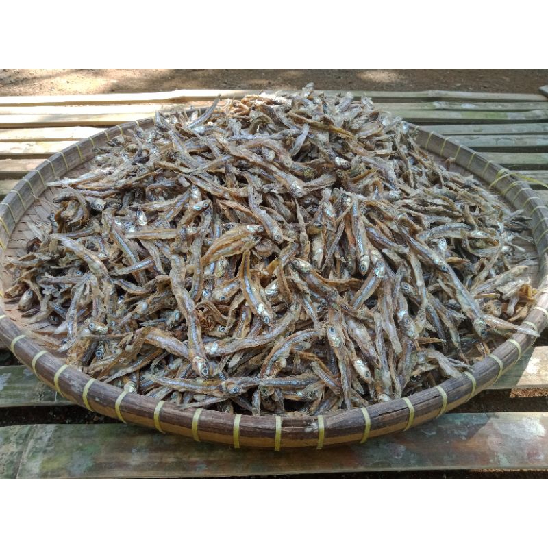 

Ikan teri tawar