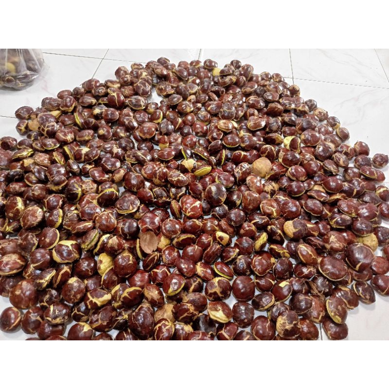 

JENGKOL BIJI JUMBO MURAH MERIAH / 1 KG,