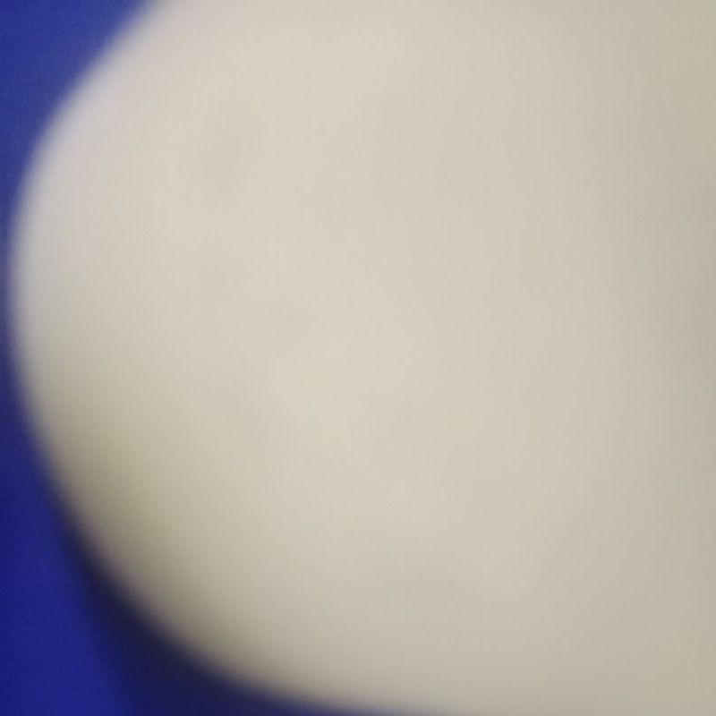 limbata rim putih murah