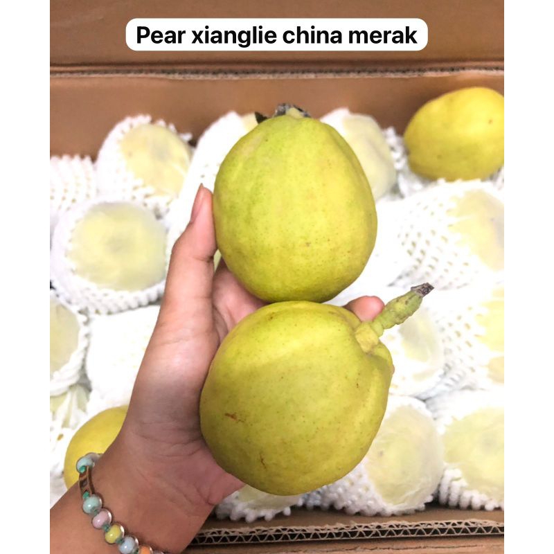 

pear xiang lie china merak / kg