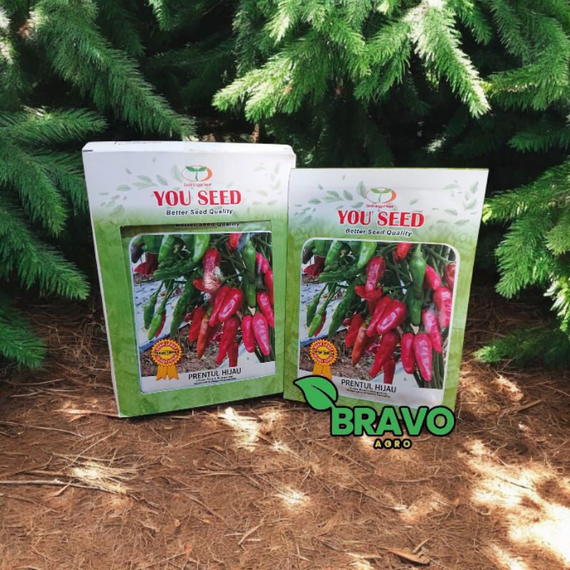 benih cabe prentul hijau kemasan 10 gram - you seed