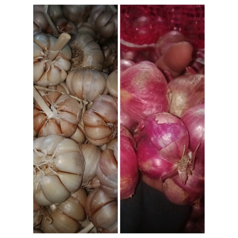 

promo bawang putih 500 gr bawang merah 500 gr