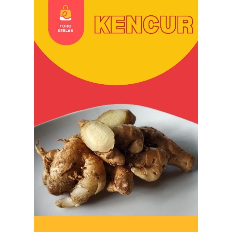 

toko seblak kencur segar 100gr