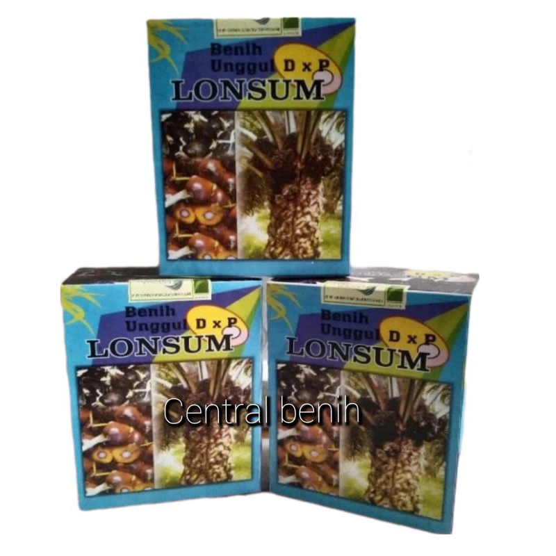 Bibit kecambah sawit unggul dxp LONSUM