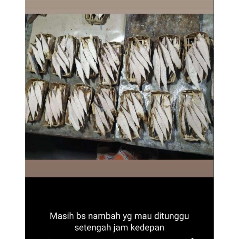 

ikaaan borongan