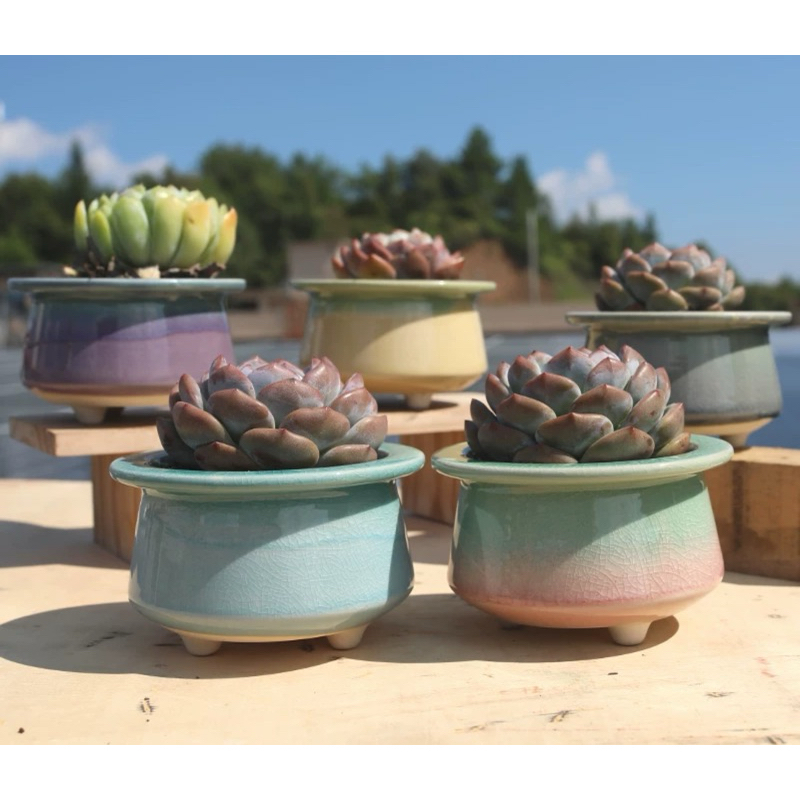 Pot sekulen/ kaktus keramik besar  Dm 9.5cm (1)