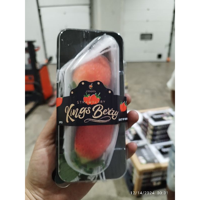 

King Berry Korea Jumbo Strawberry kings berry Premium import Korea