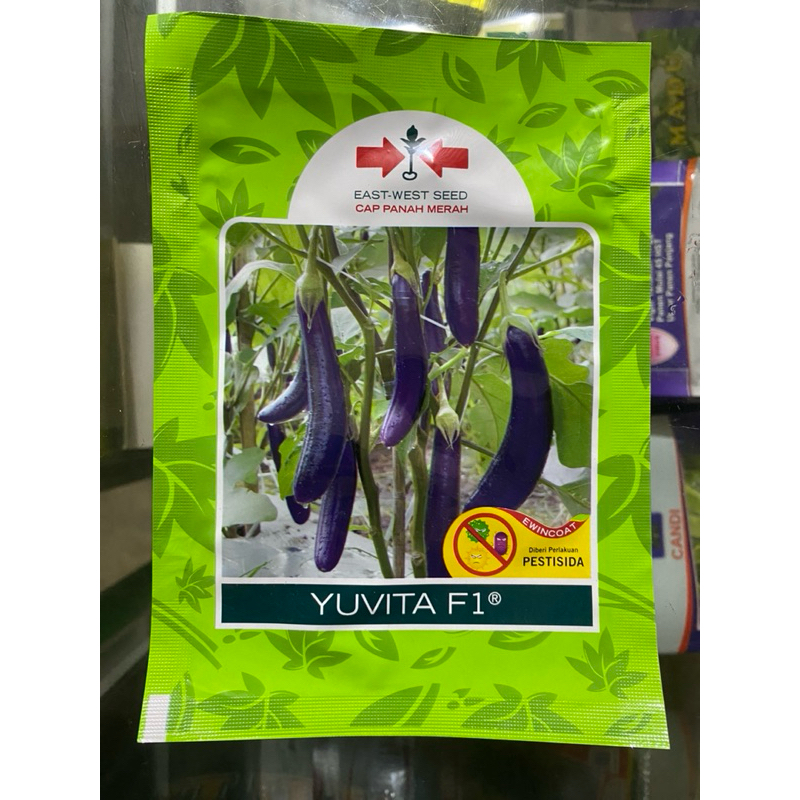 Benih Terong Ungu YUVITA F1