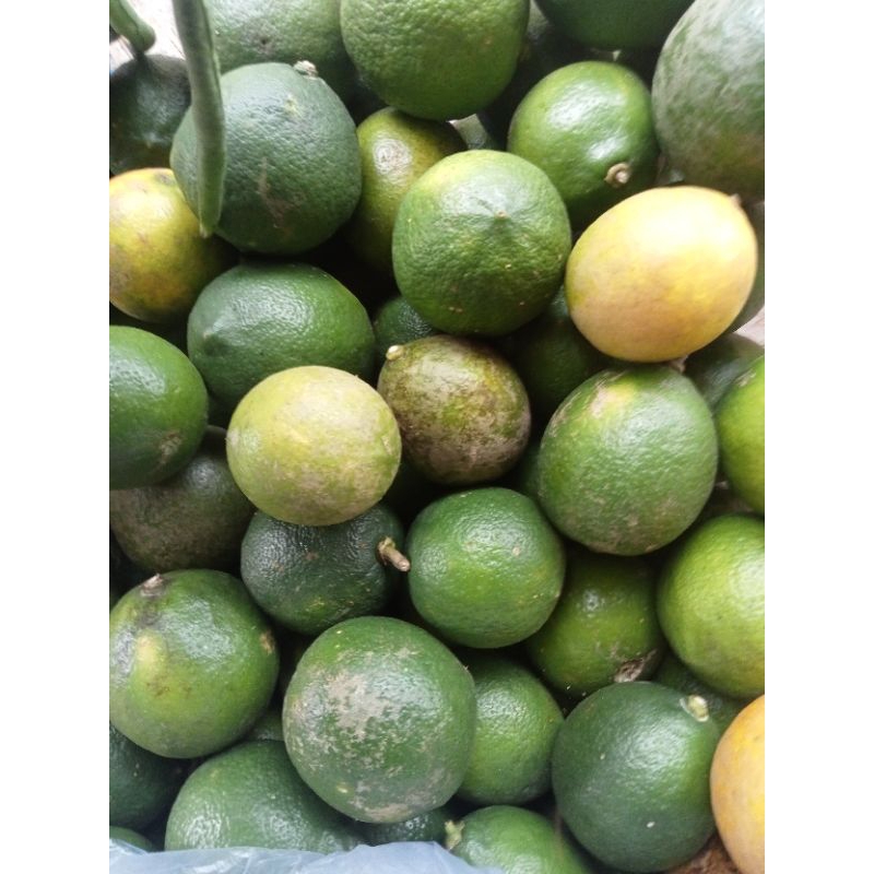 

JERUK LEMON AIR PERASANNYA BANYAK-1 KG