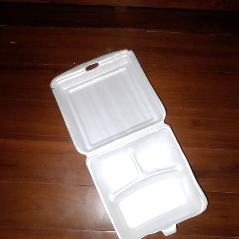 sterofoam tempat nasi lauk kotak