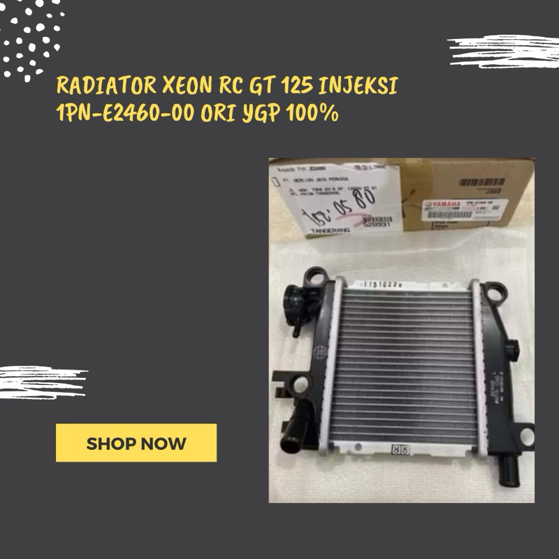 RADIATOR XEON RC GT 125 INJEKSI 1PN-E2460-00