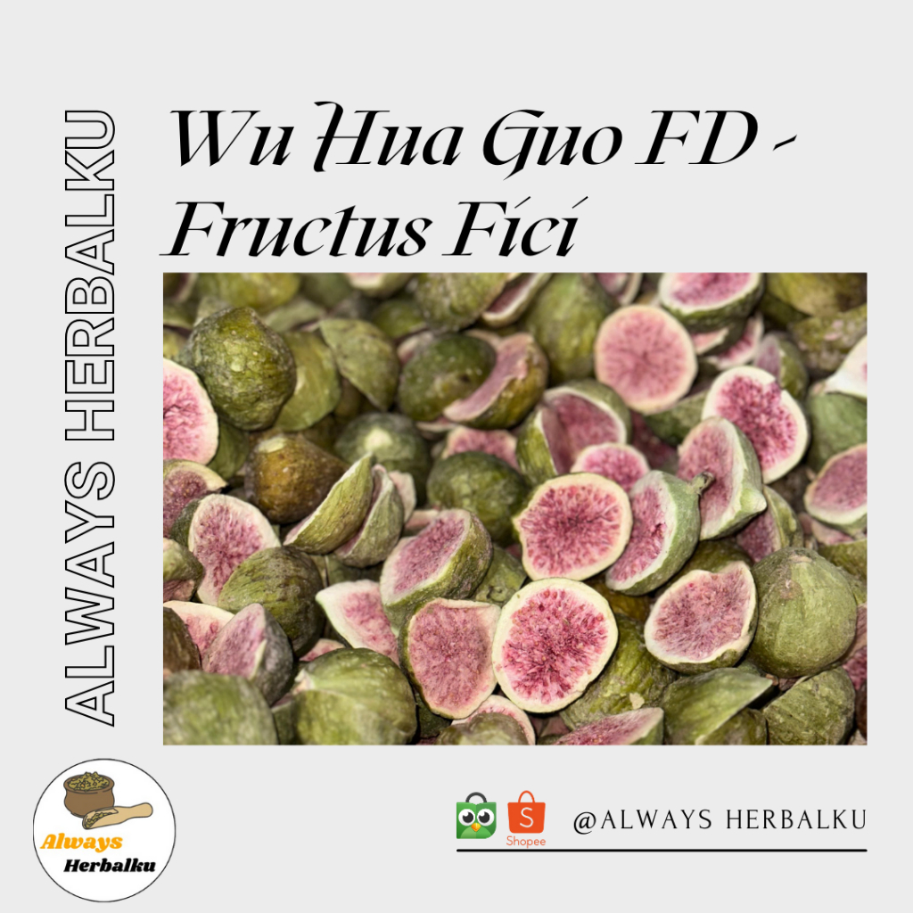 

Wu Hua Guo FD / Freeze dried wu hua guo / Wu hua guo kering / Fructus figi / fig (100gr)