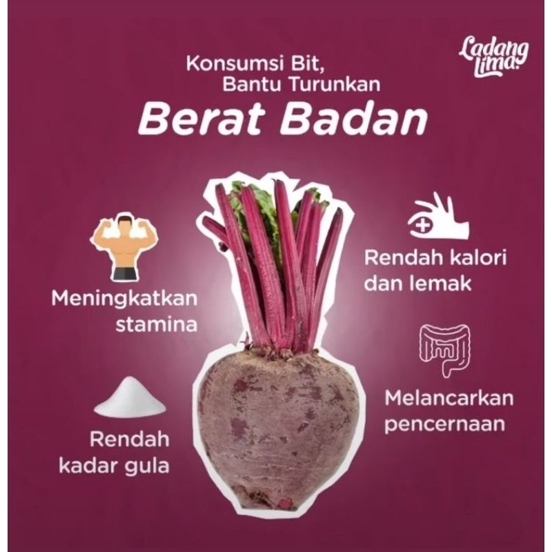 

Buah Bit (Beetroot) ORGANIK FRESH 1 kg