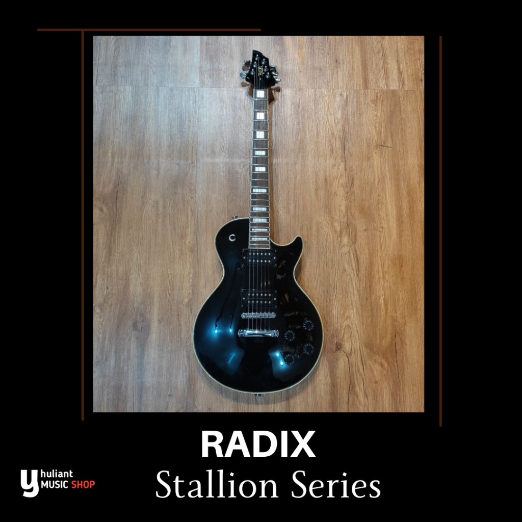 Radix Stallion Series Guitar Electric Original Second Good