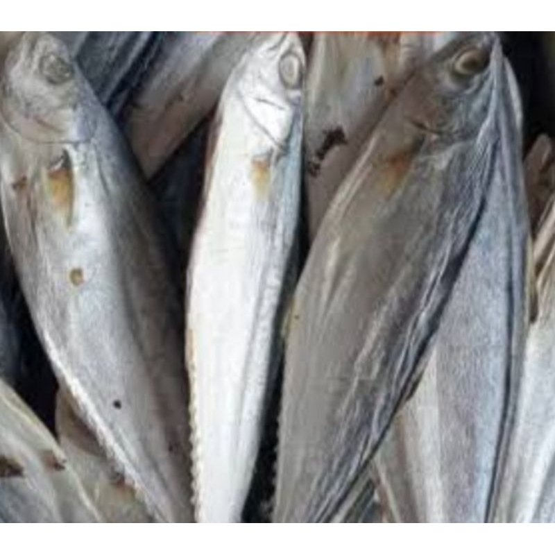

ikan tenggiri asin 1kg medan