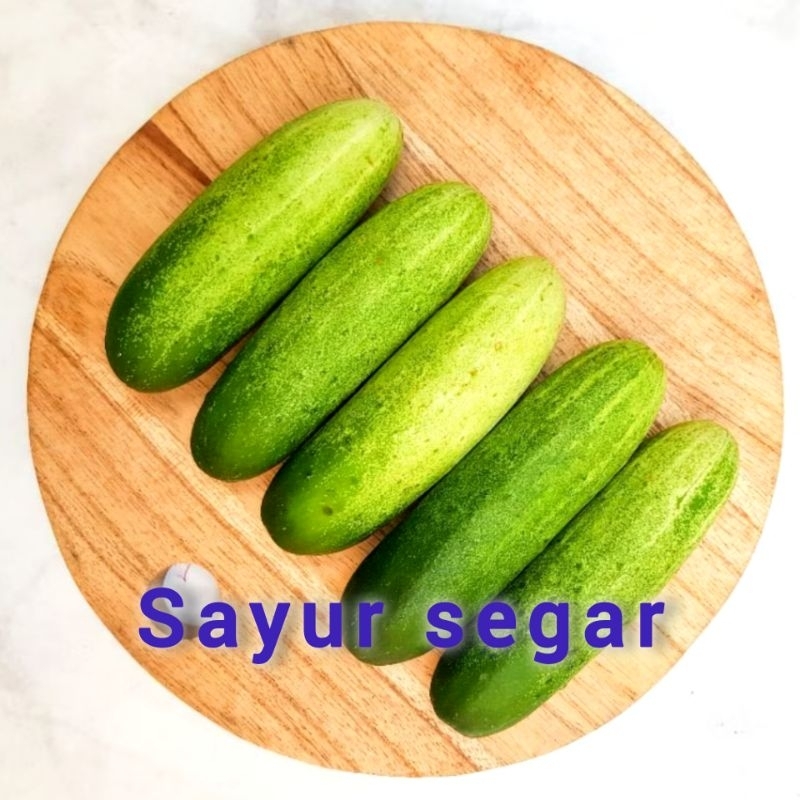 

timun segar 500 gr