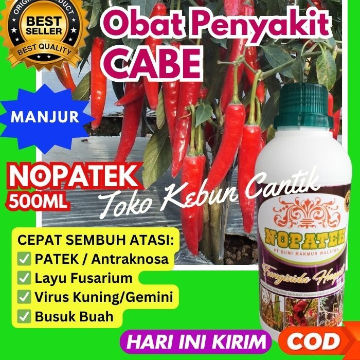 NOPATEK Fungisida Hayati untuk Tanaman Sayur dan Buah - Atasi Penyakit Patek Cabe, Busuk Daun Tomat,