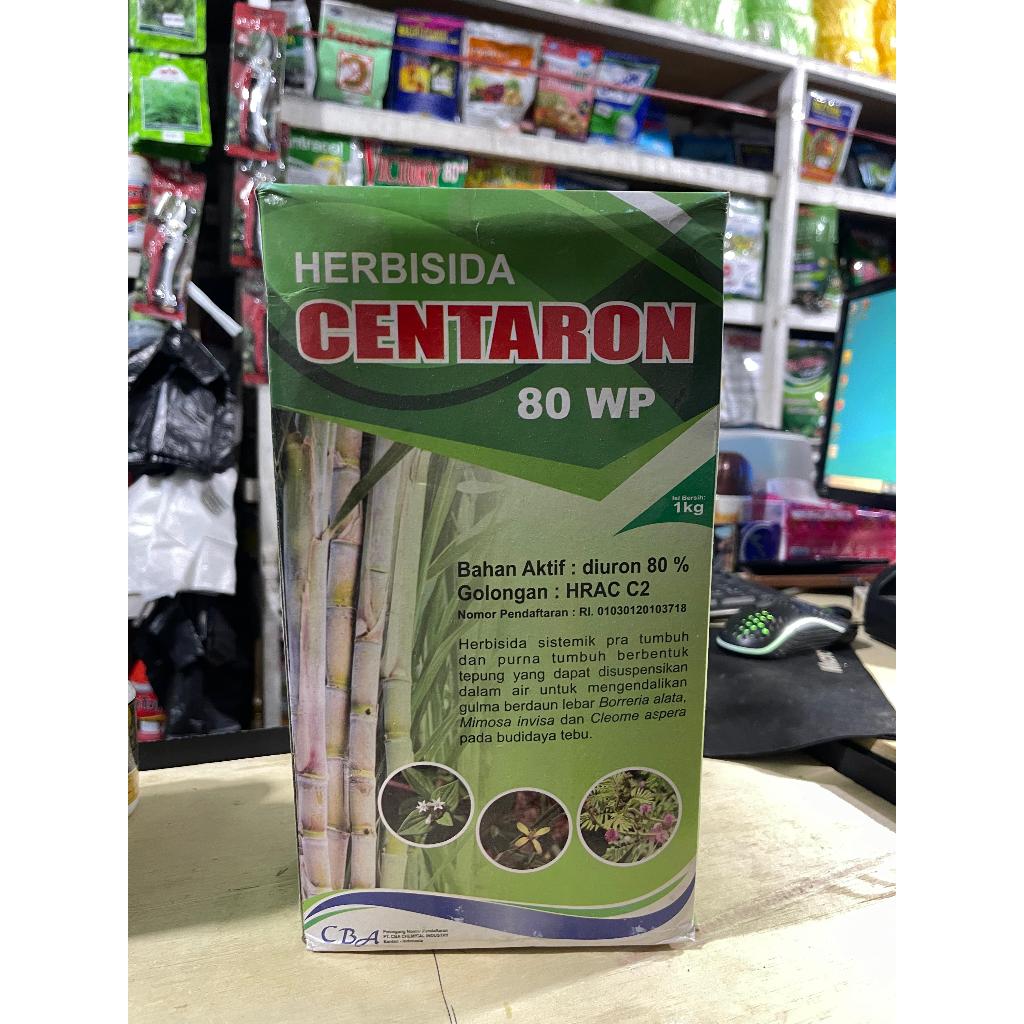 CENTARON 80 WP HERBISIDA RACUN KERAS RUMPUT BELULANG