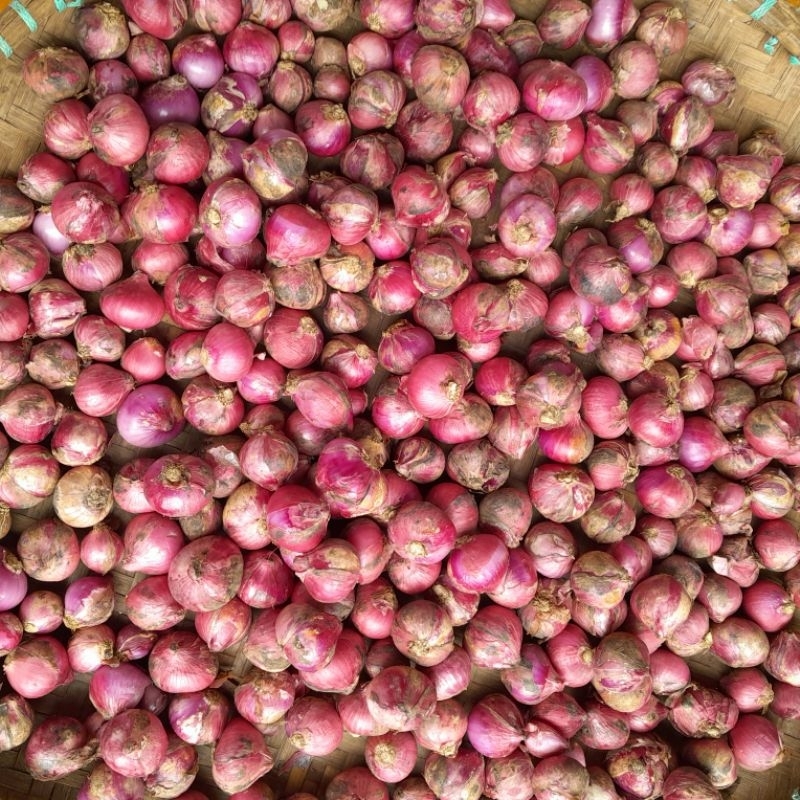 

Bawang merah 1kg super besar termurah premium pilihan kering