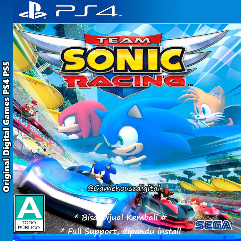 Team Sonic Racing PS4 PS5