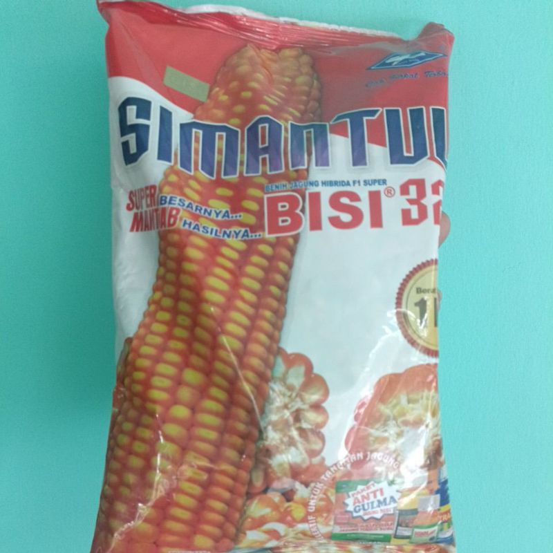 

JAGUNG BISI 322 SIMANTUL
