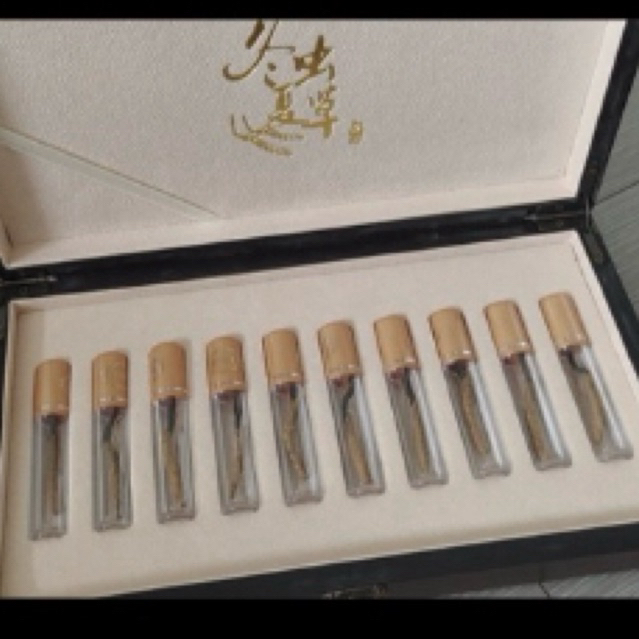 

Cordyceps Tibetan chongcao 虫草 10 pcs