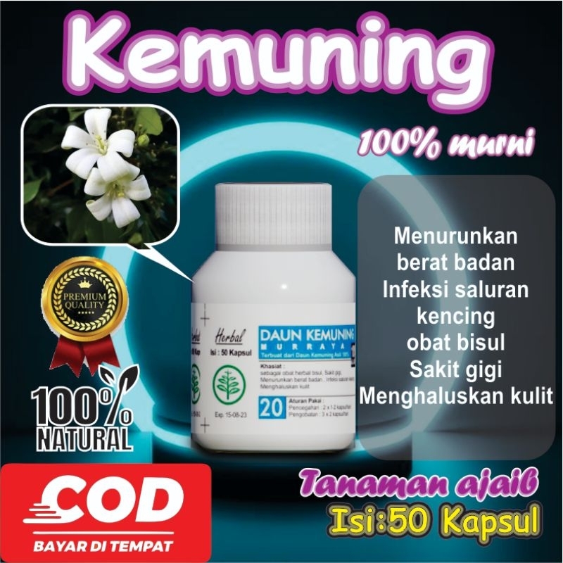 

bunga kemuning obat alami antioksidan rematik ginjal