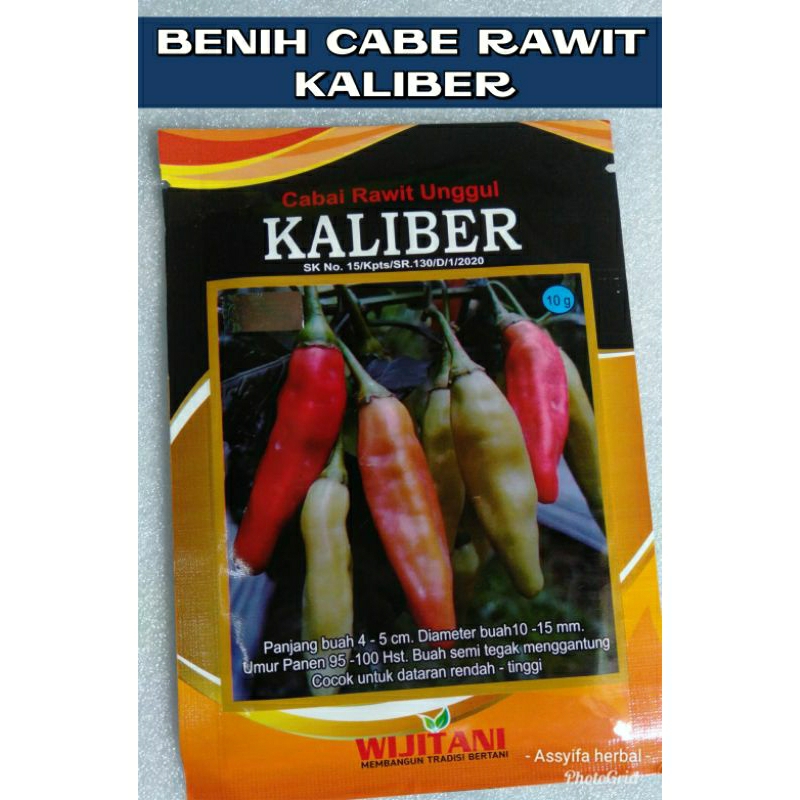 

NEW ‼️ 10 GRAM BIJI BENIH CABE RAWIT KALIBER , Wijitan Benih Cabe RaweT Kaliber