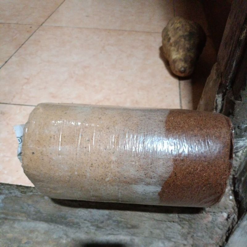 

beklok jamur tiram 70persen