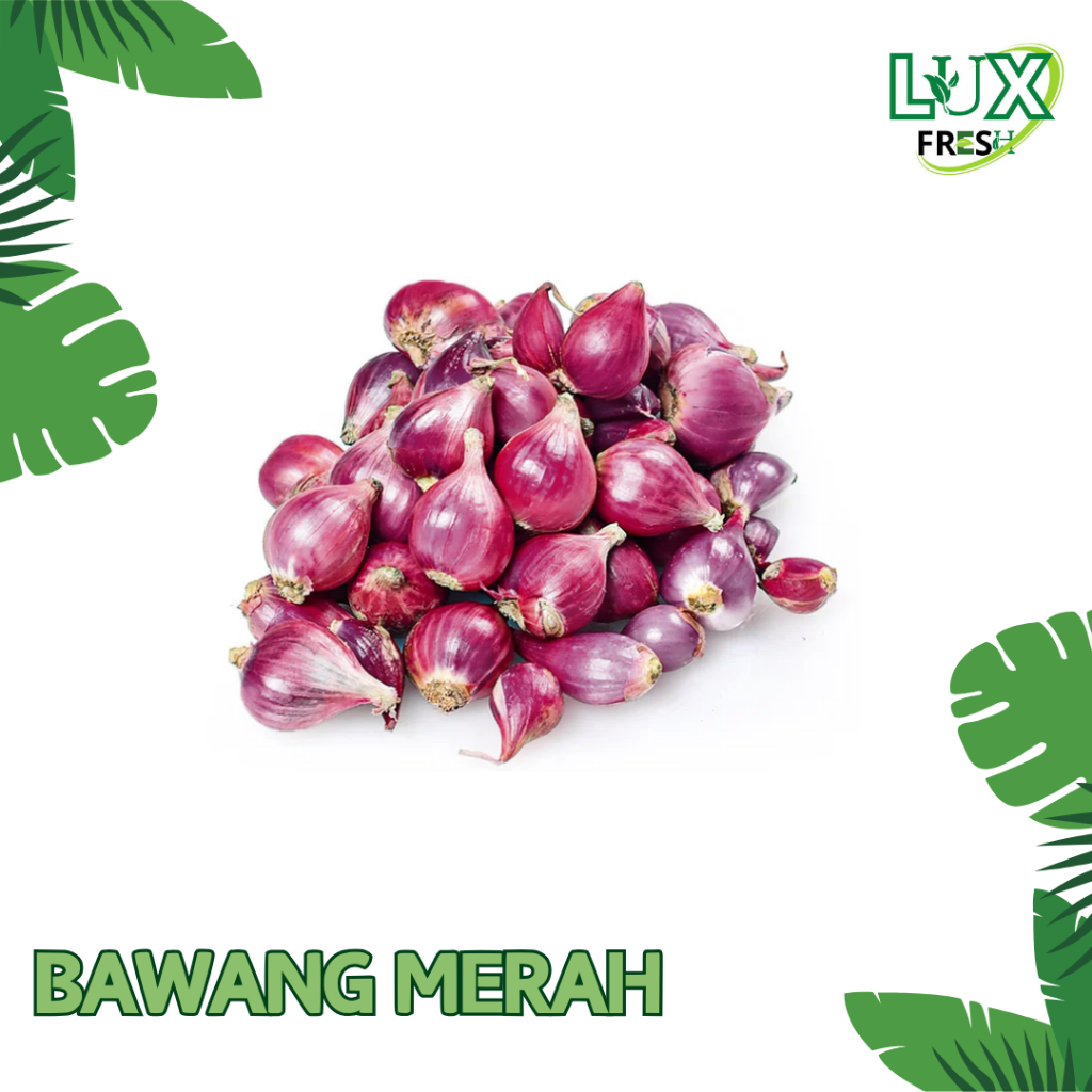 

BAWANG MERAH FRESH BEST QUALITY