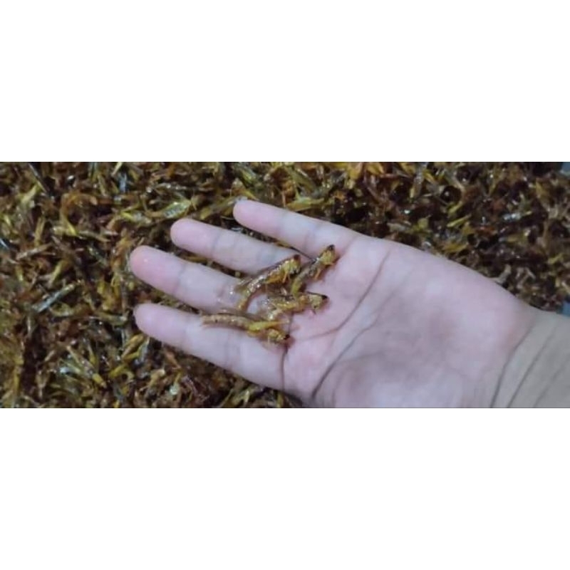 

belalang goreng utis original kemasan box 500ml