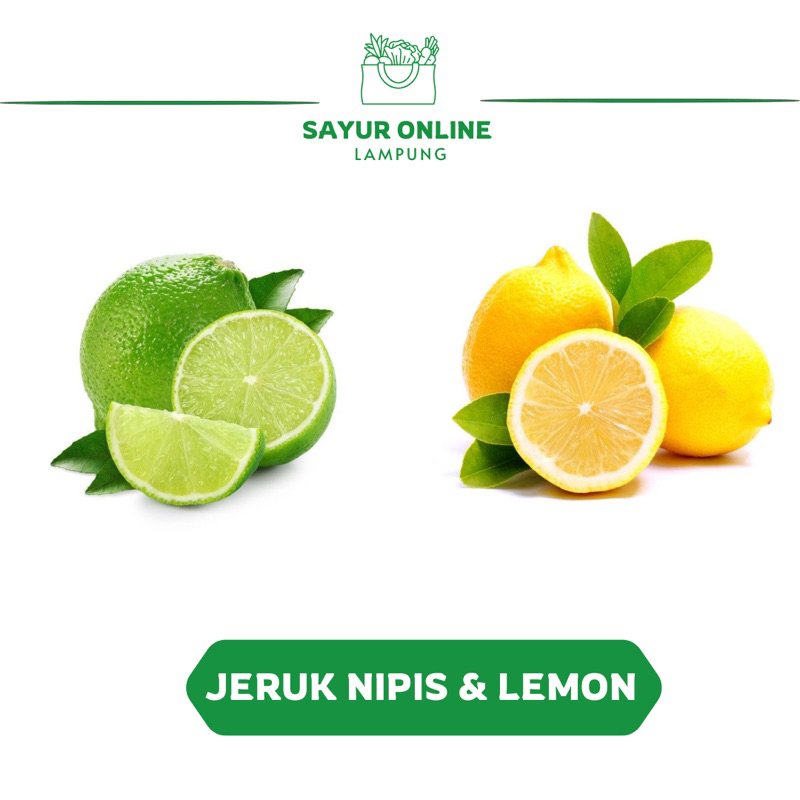 

Jeruk Nipis / Lemon 1 Pcs - Sayur Segar Lampung