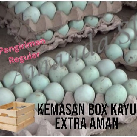 

Telur bebek mentah Langsung dari kandang gratis kemasan extra BOX